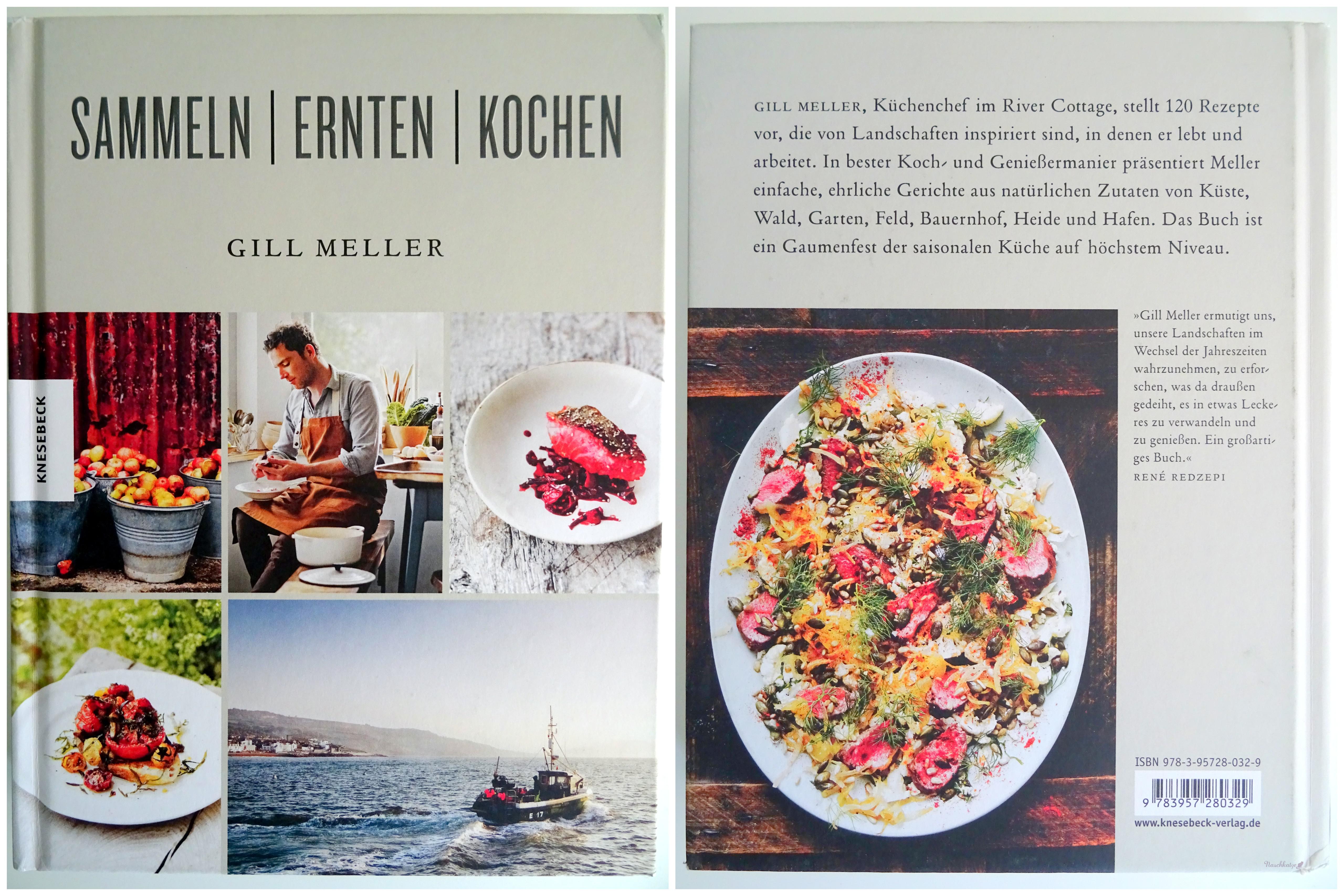 Buchvorstellung: „Sammeln Ernten Kochen“ von Gill Meller
