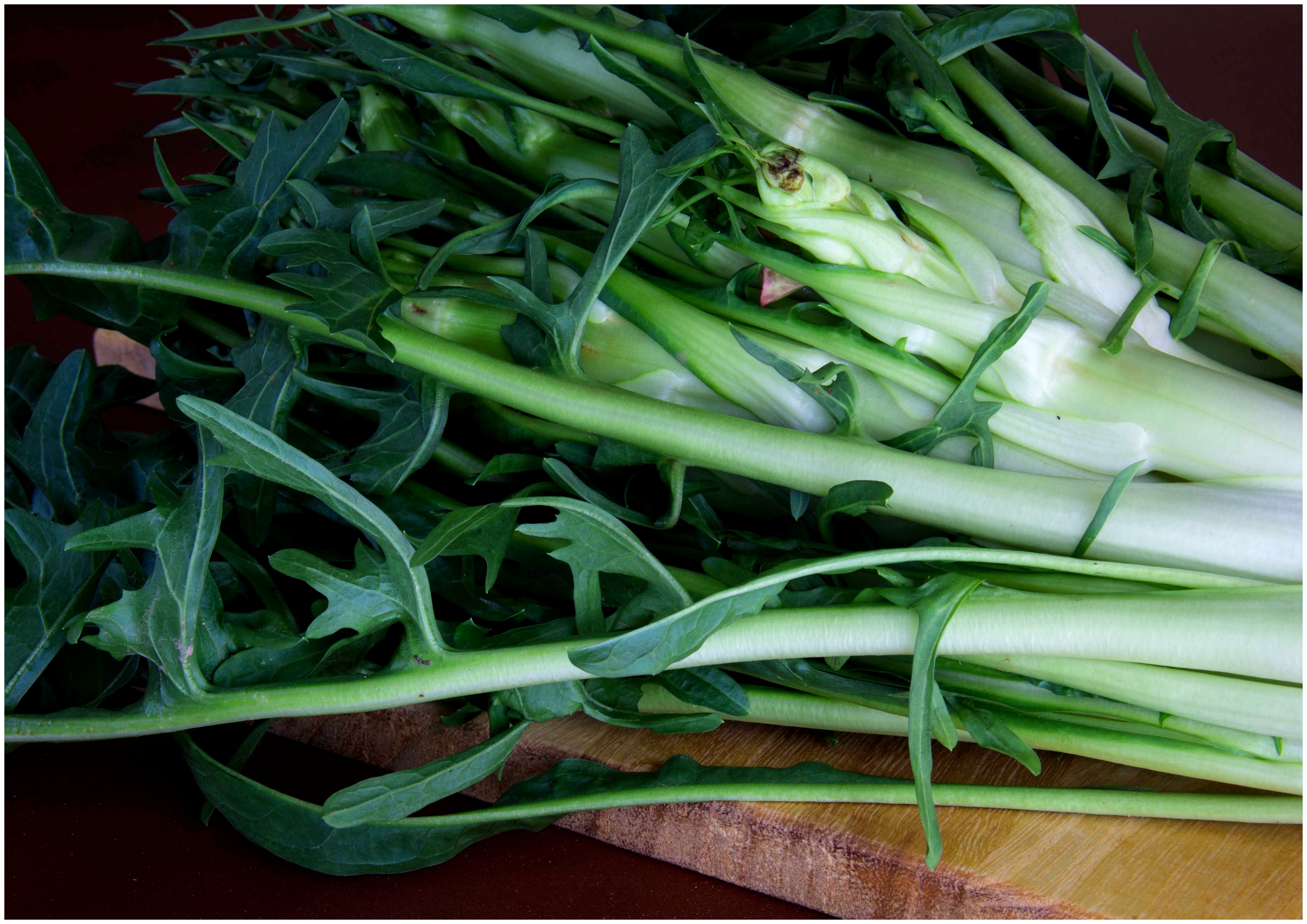 Pasta mit Puntarelle