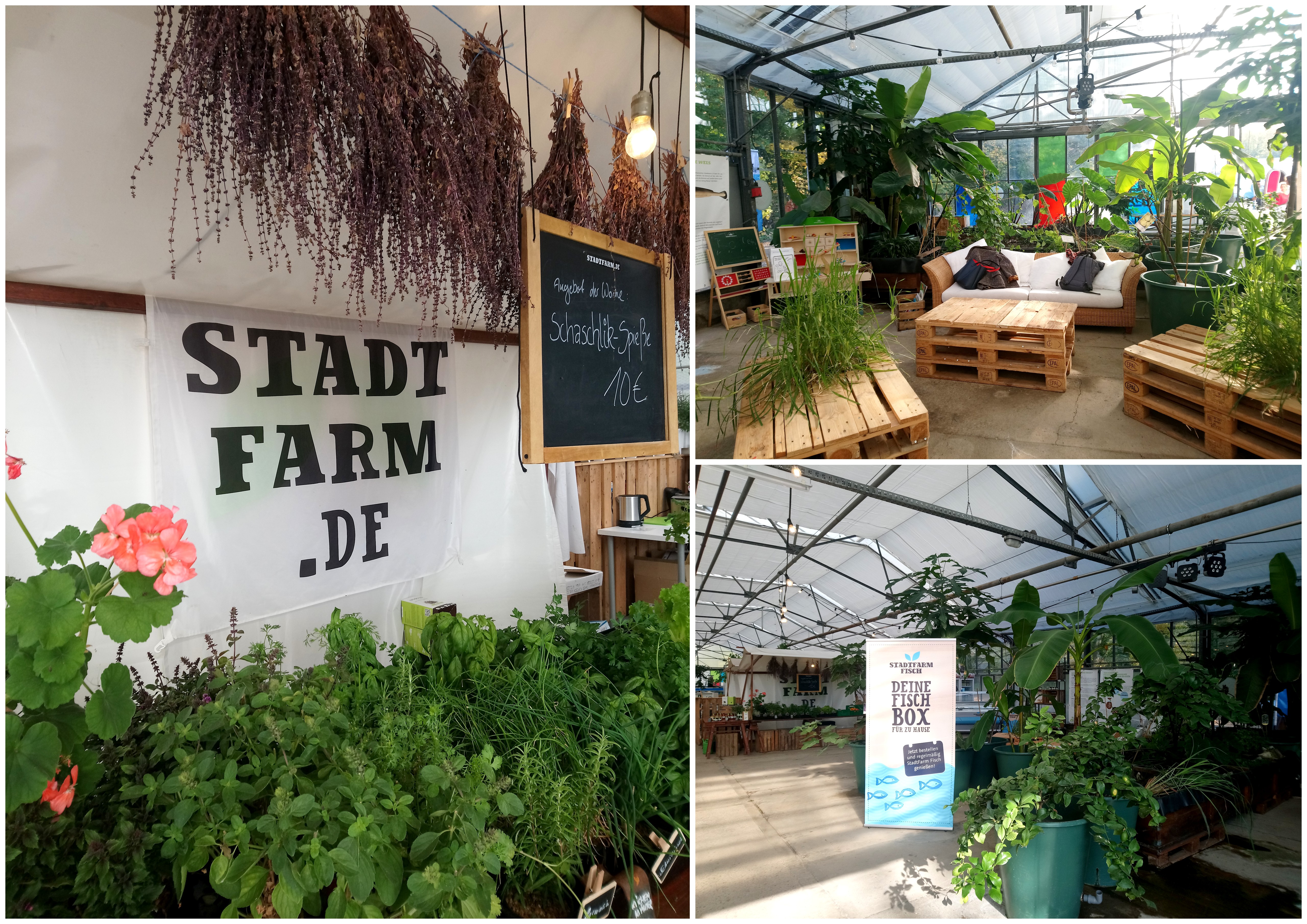 Berlin: Lecker essen in der Hauptstadt