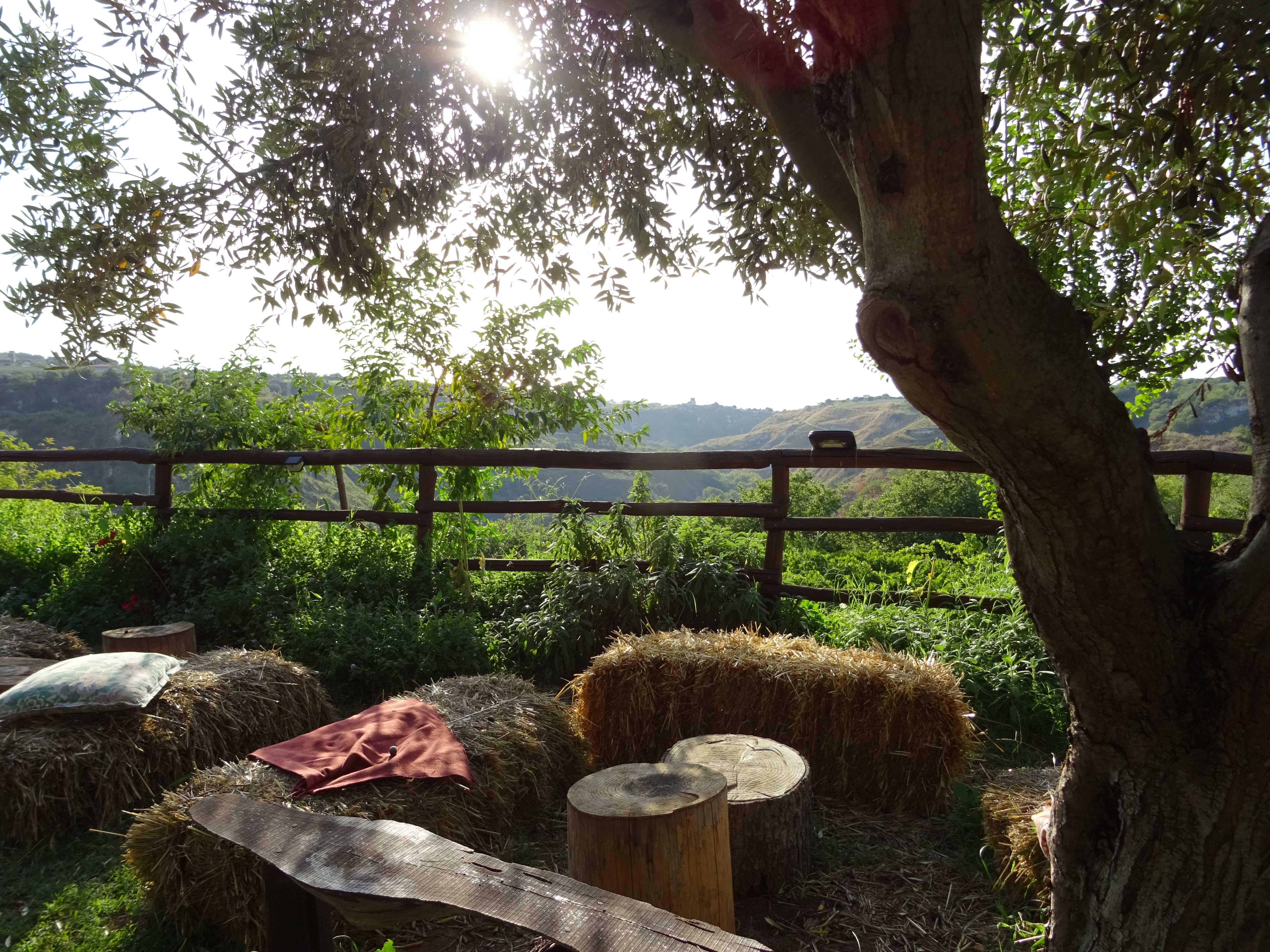 Kulinarischer Streifzug: Weinverkostung mit kalabresischen Leckereien & traumhafter Aussicht