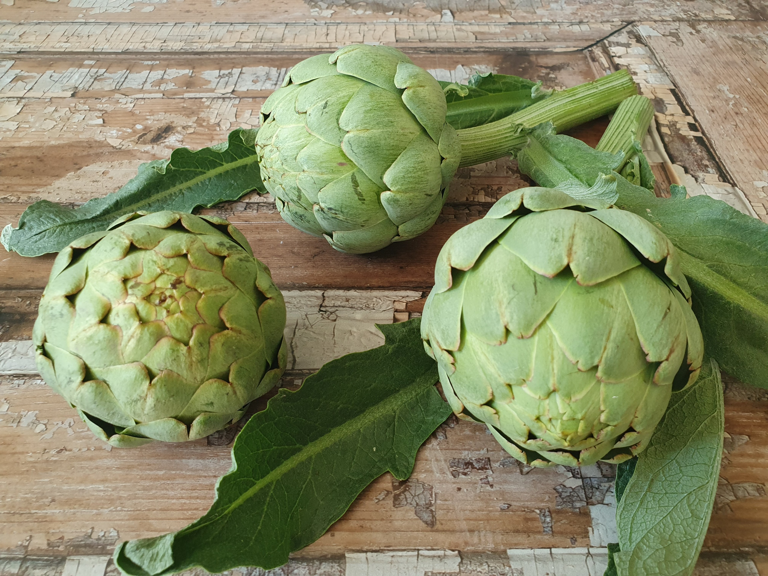 Artischocken mit Zitronen-Mayonnaise & Mandel-Knusper (7)